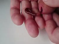 Worm Gaybeast - Beastiality Man