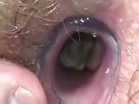 Worm hole Gaybeast - Zoophilia Man
