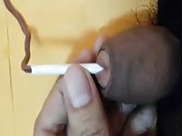 Worms inside 1 1 Gaybeast Beastiality with Dude Worms inside 1 1 Gaybeast Beastiality with Dude