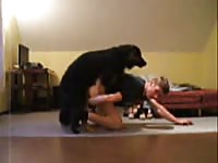 Young amateur guy gets fucked by german shephard Gaybeast.com - Beastiality Man