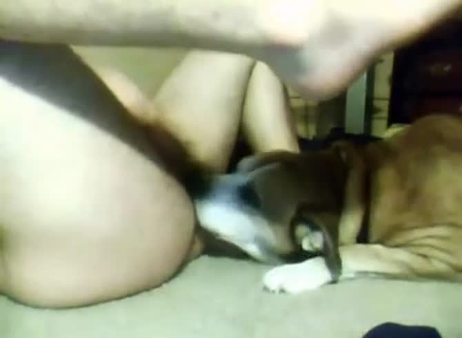 Fucked by dog porn