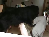 Young guy gets fucked by dog Gaybeast.com - Beastiality Man