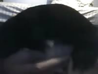 Youngboy Gaybeast - Zoophilia Man