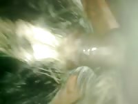 Yum 1 Gaybeast - Zoophilia Porn and Man