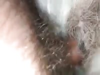 Yummy gurl Gaybeast.com - Bestiality Sex video with man