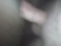 Zephra Gaybeast.com - Bestiality Sex video with man