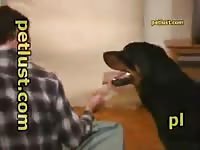 Zoo petlust tyson encounter 10 man male dog