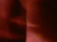 Maya5 Gaybeast.com - Zoophilia Sex and Man