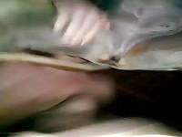 Me and my dane 2 1 Gaybeast - Animal Sex Man