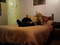 Me and my dog 2 Gaybeast - Zoophilia Man