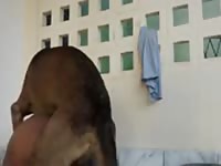 Me and my dog 8 Gaybeast - Man and animal Porn