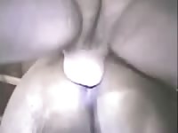 Me and my horse Gaybeast - Animal Porn Man