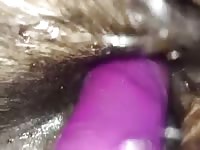 Me and my shetland stallion Gaybeast - Dude fucks animal