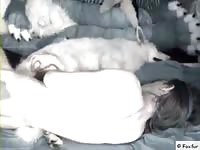 Me fucking molly Gaybeast - Animal Porn Man