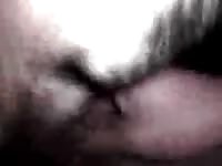 Me my bitch Gaybeast.com - Man and animal Sex