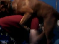 Me my dog 1 Gaybeast - Zoophilia Porn and Man