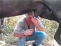 Men sucking horse Gaybeast.com - Bestiality Sex video with man