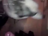 Mine and storms first time mandm forestboi22 husky mememe