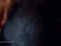 Mini mare creampie Gaybeast - Beastiality Man