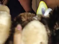 Monkey do Gaybeast - Beastiality with Dude