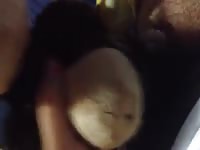 Monkey see Gaybeast.com - Bestiality Porn video with man