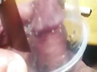 More crickets Gaybeast.com - Beastiality with Dude