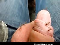 Mosquito fun Gaybeast.com - Zoophilia Sex and Man
