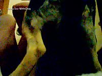 Mov my k9 mounting me vex im000066