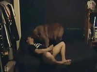 Multiple female dog orgasms Gaybeast.com - Dude and animal Porn