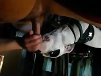 My baby helping me come Gaybeast.com - Bestiality Sex video with man