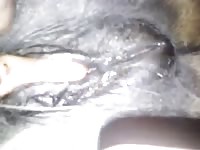 My beautiful lady again Gaybeast - Animal Porn Man