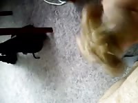 My cock is full of snails Gaybeast - Man and animal Sex