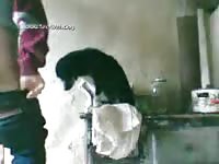 My first try kaloyan vid001