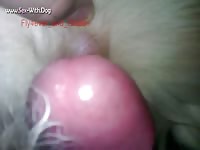 My golden bitch fly4ever fly4ever and golden