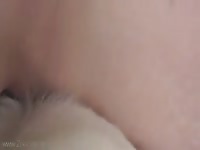 New bitch in the house