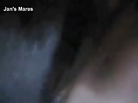 Nice box 1 Gaybeast - Dude and animal Porn