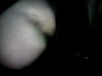 Night struggle Gaybeast.com - Bestiality Sex video with man