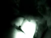 Nighttime ewe missionary style Gaybeast - Beastiality with Dude