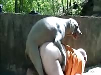 Outdoor Gaybeast.com - Zoophilia Porn and Man