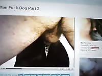 Paja perro viendo porno Gaybeast.com - Beastiality with Dude