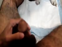 Part 1 college stud gets licked for the first time by friends dog Gaybeast - Man fucks animal