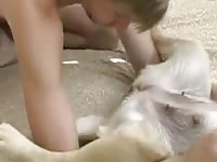 Petlust chunky not creamy