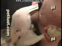 Petlust m12 4 cs18(1)