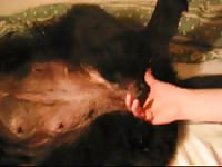 Petlust sex with ronja part1 forplay2