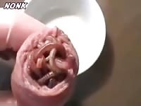 Playing with worms Gaybeast.com - Man fucks animal