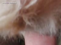 Powerchen and her peautyfull dogygirl powersize film