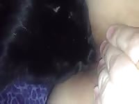 Pussy eating my pussy and ass Petsex.com - Bestiality Porn video with man