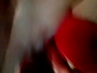 Rusa juan y yo Gaybeast.com - Zoophilia Porn and Man