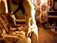 Russian Petsex.com - Bestiality Porn video with man