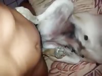 Sex with a nice dog Gaybeast - Zoophilia Porn and Man